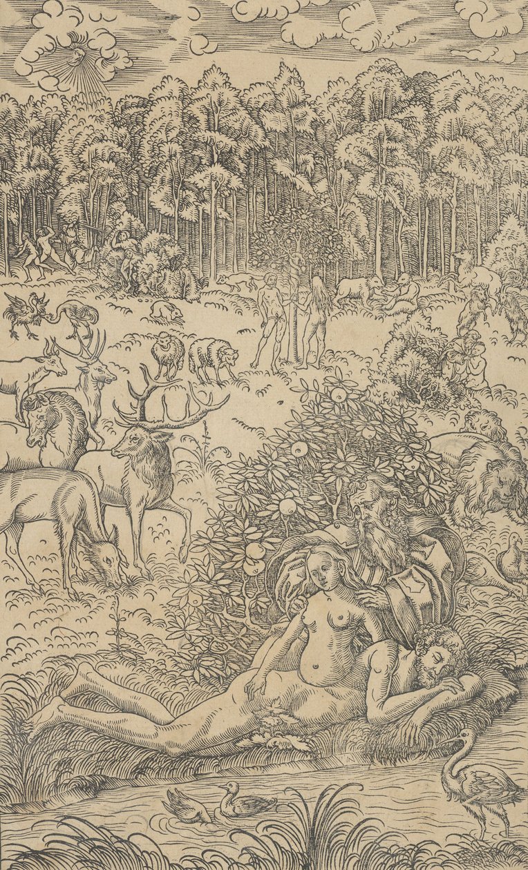 The Creation of Eve by Lucas Cranach the Younger  