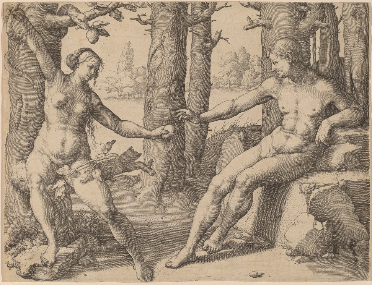 The Fall of Man by Lucas van Leyden