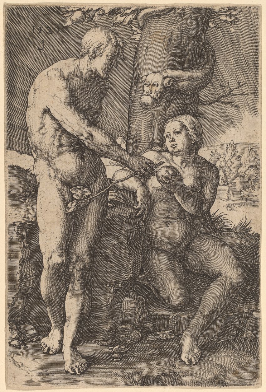 The Fall of Man by Lucas van Leyden