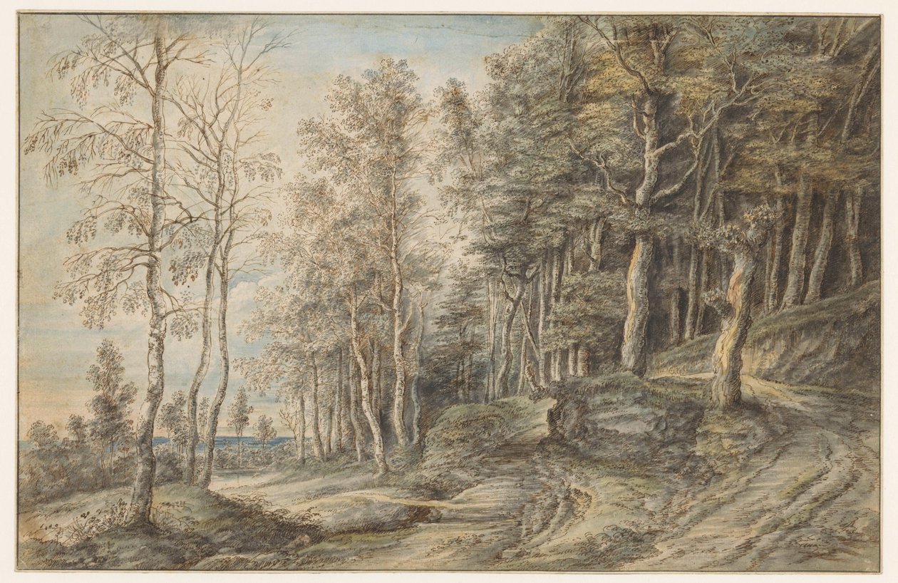 Forest Landscape by Lucas van Uden