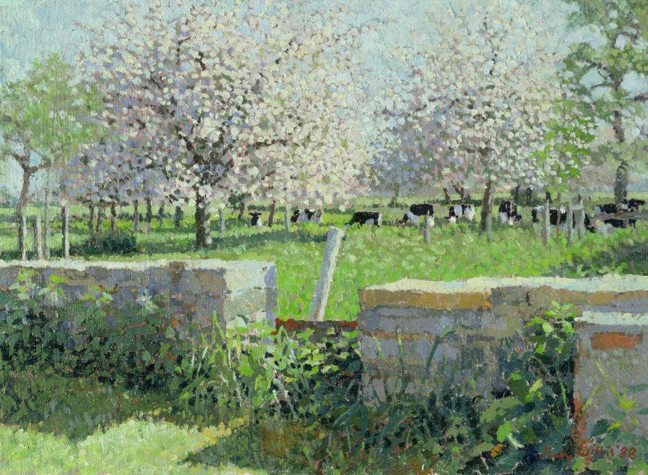 Cows in the Orchard, 1988 by Lucy Willis