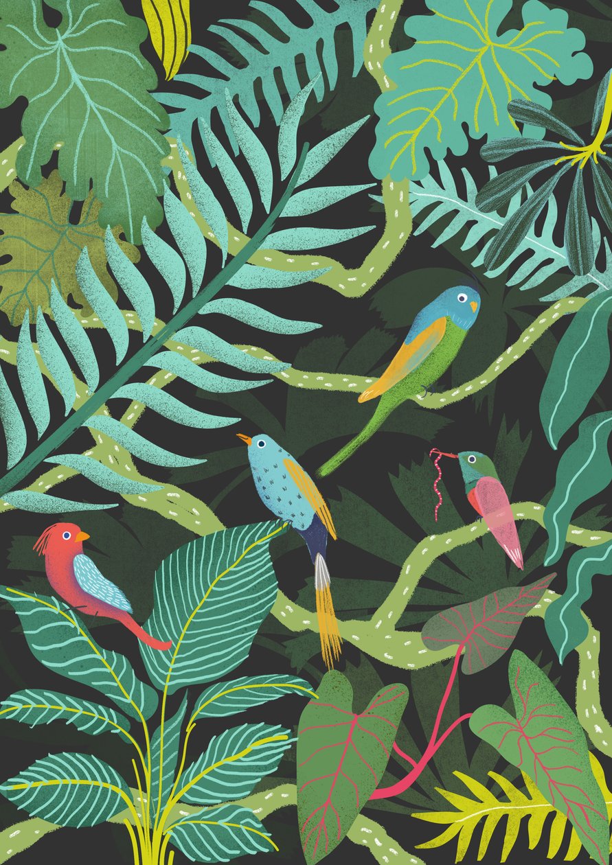 Exotic by Lucy Banaji
