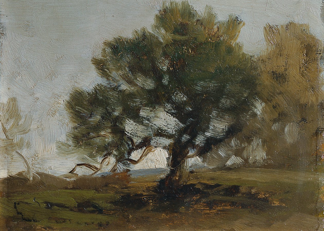 Landscape by Ludwig Willroider