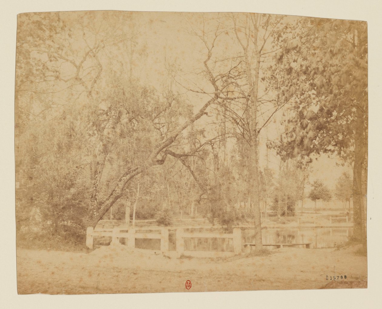 View 3 - Unidentified Garden, Iran by Luigi Pesce