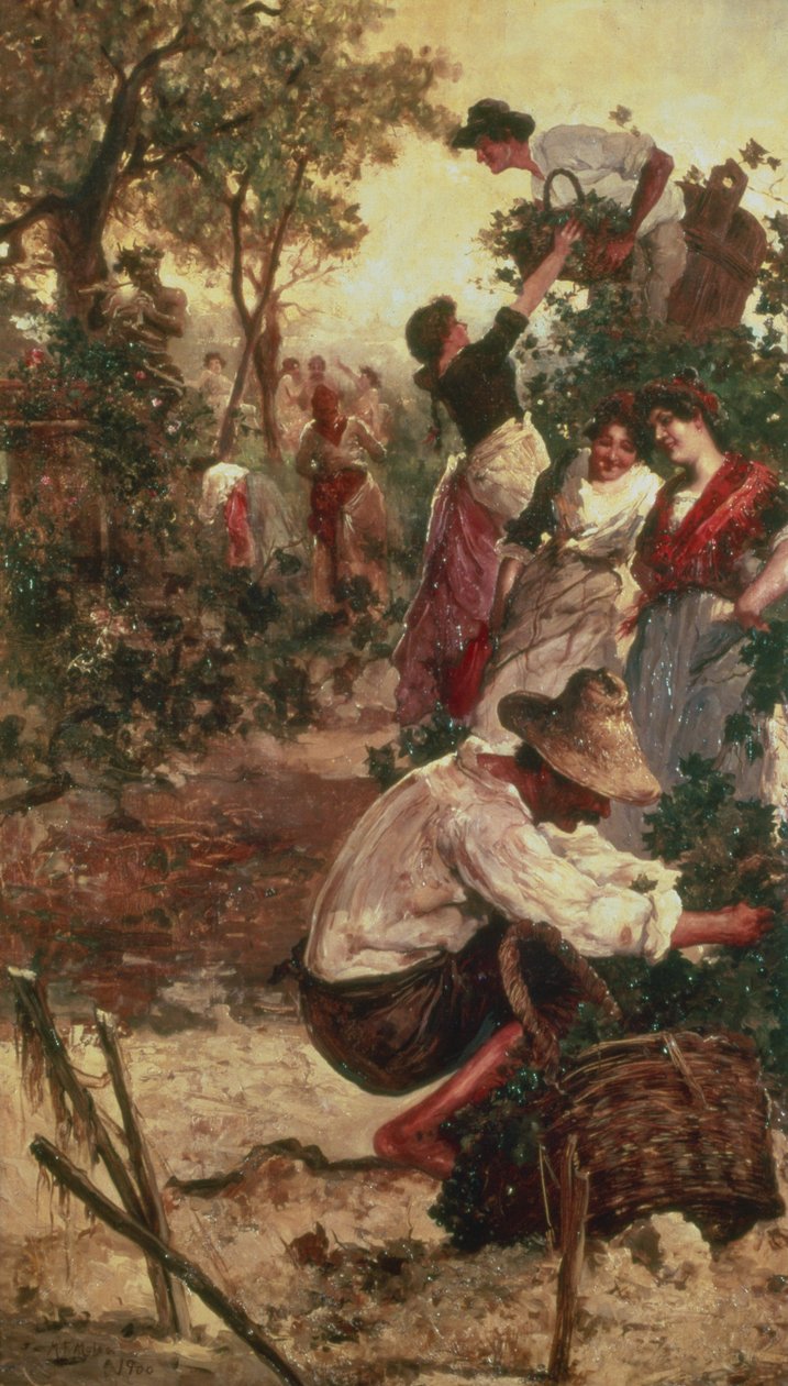 The Grape Harvest by M.F. Moles