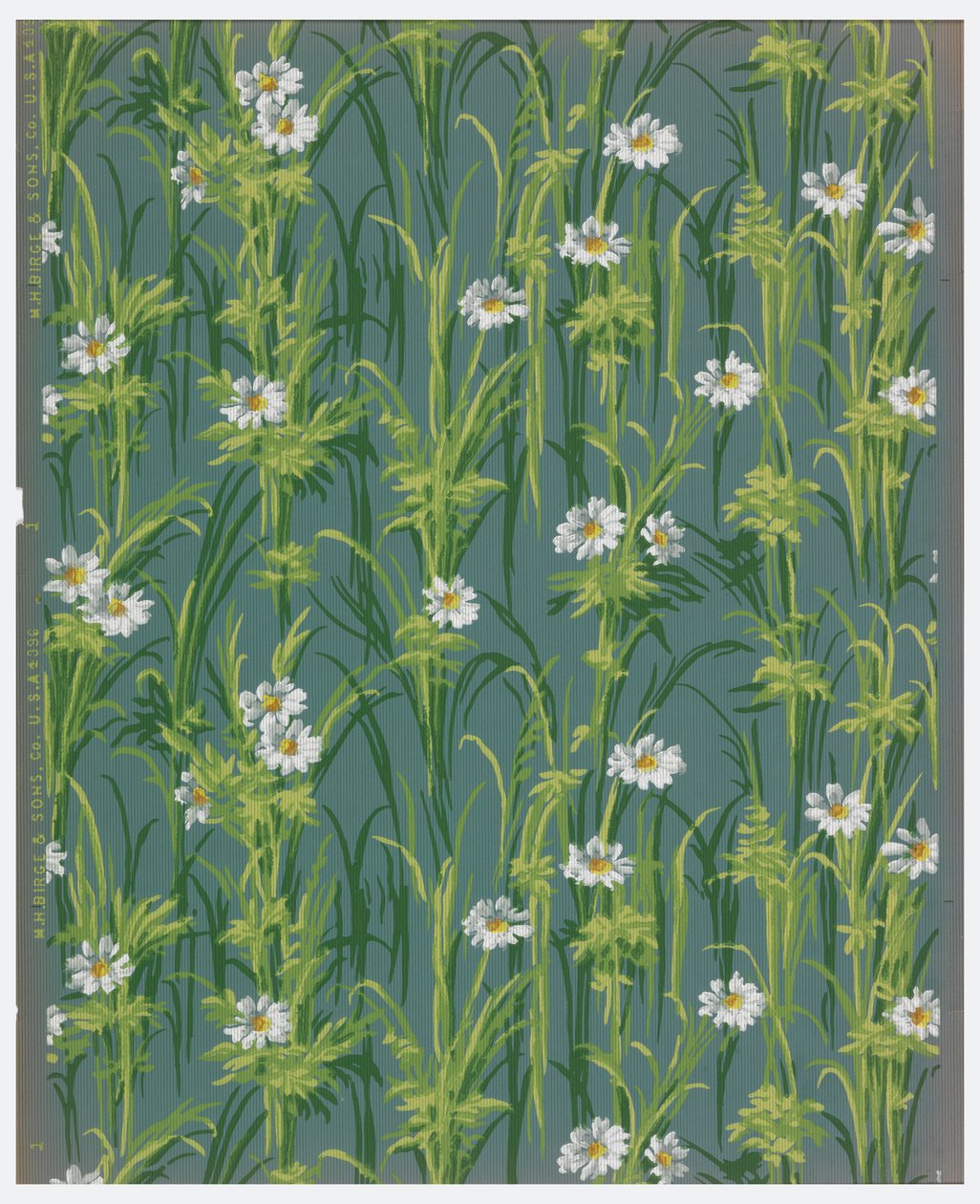 Sidewall by M.H. Birge and Sons Co