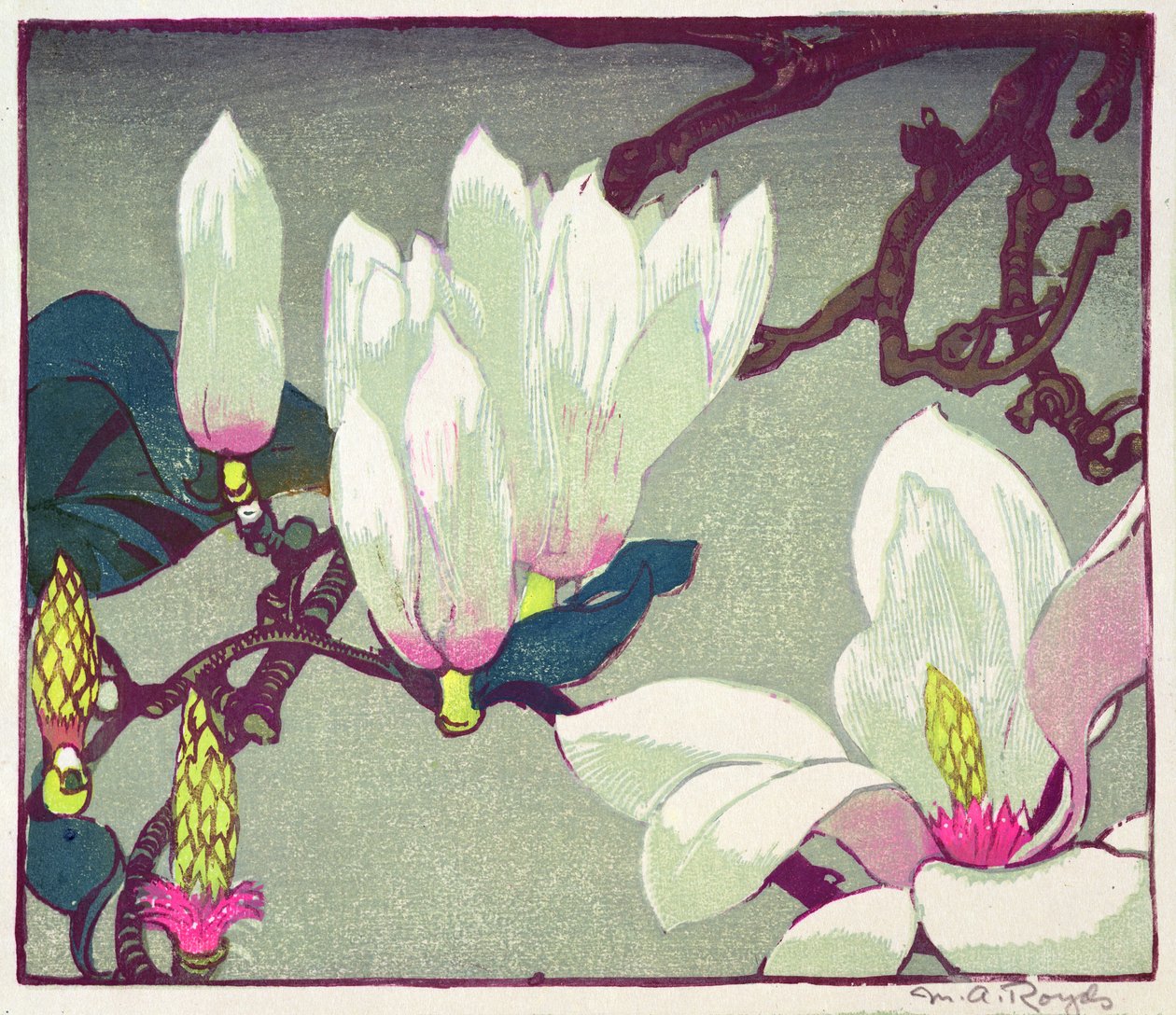 Magnolia, c.1925 by Mabel Royds
