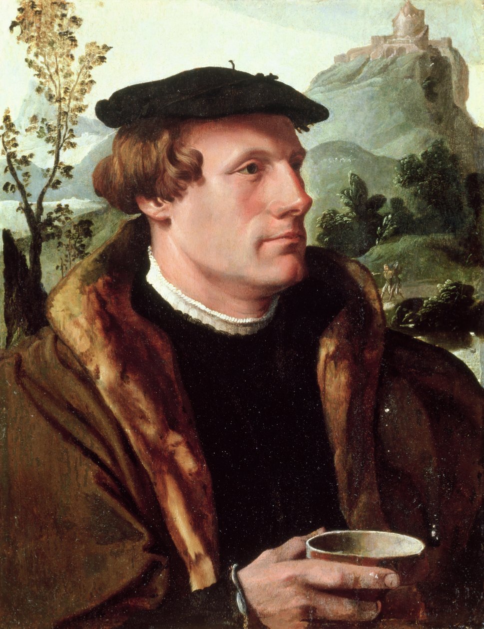 Portrait of a Gentleman by Maerten van Heemskerck