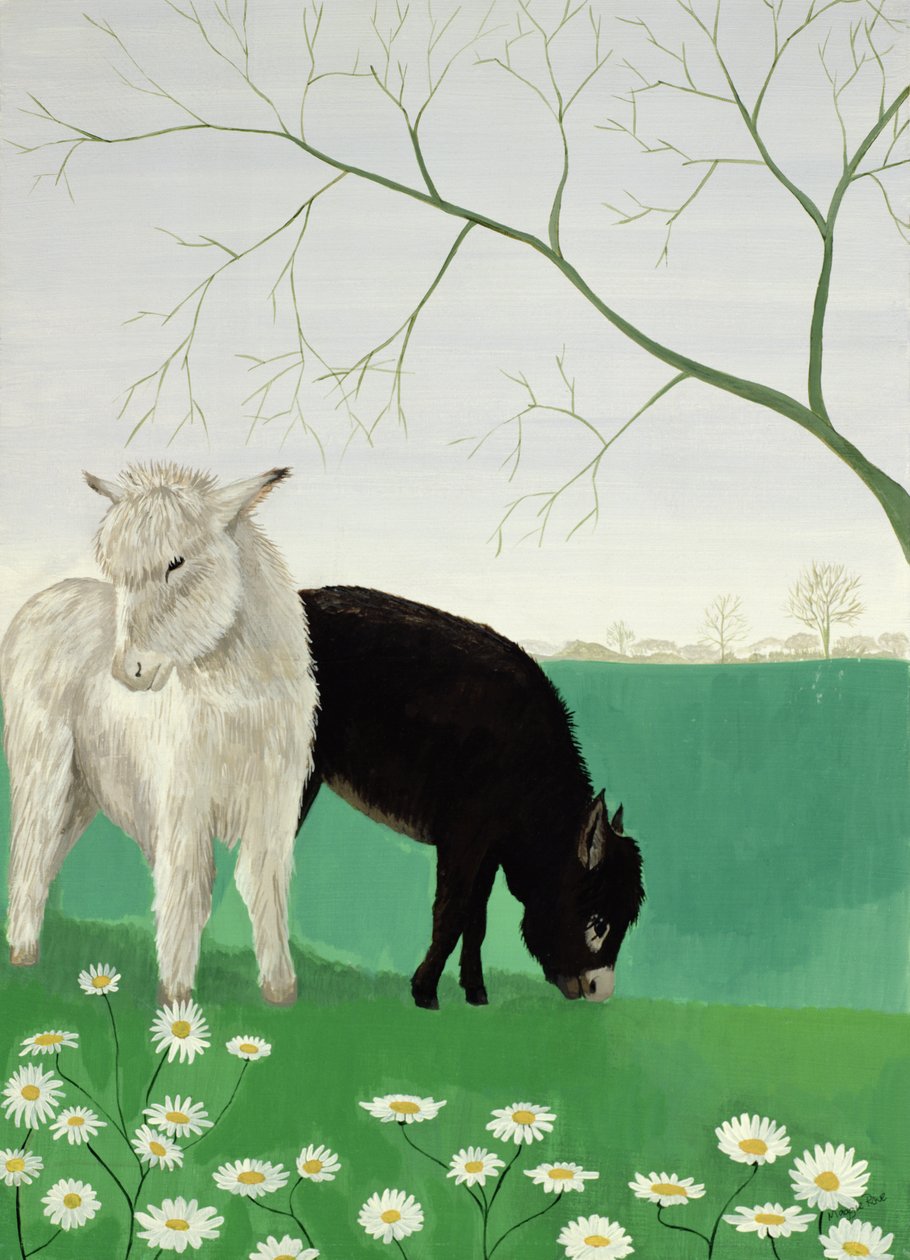 Donkeys and Daisies by Maggie Rowe