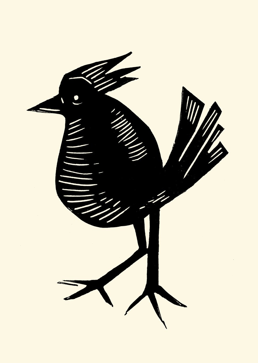 Fancy Bird by Marco Campedelli