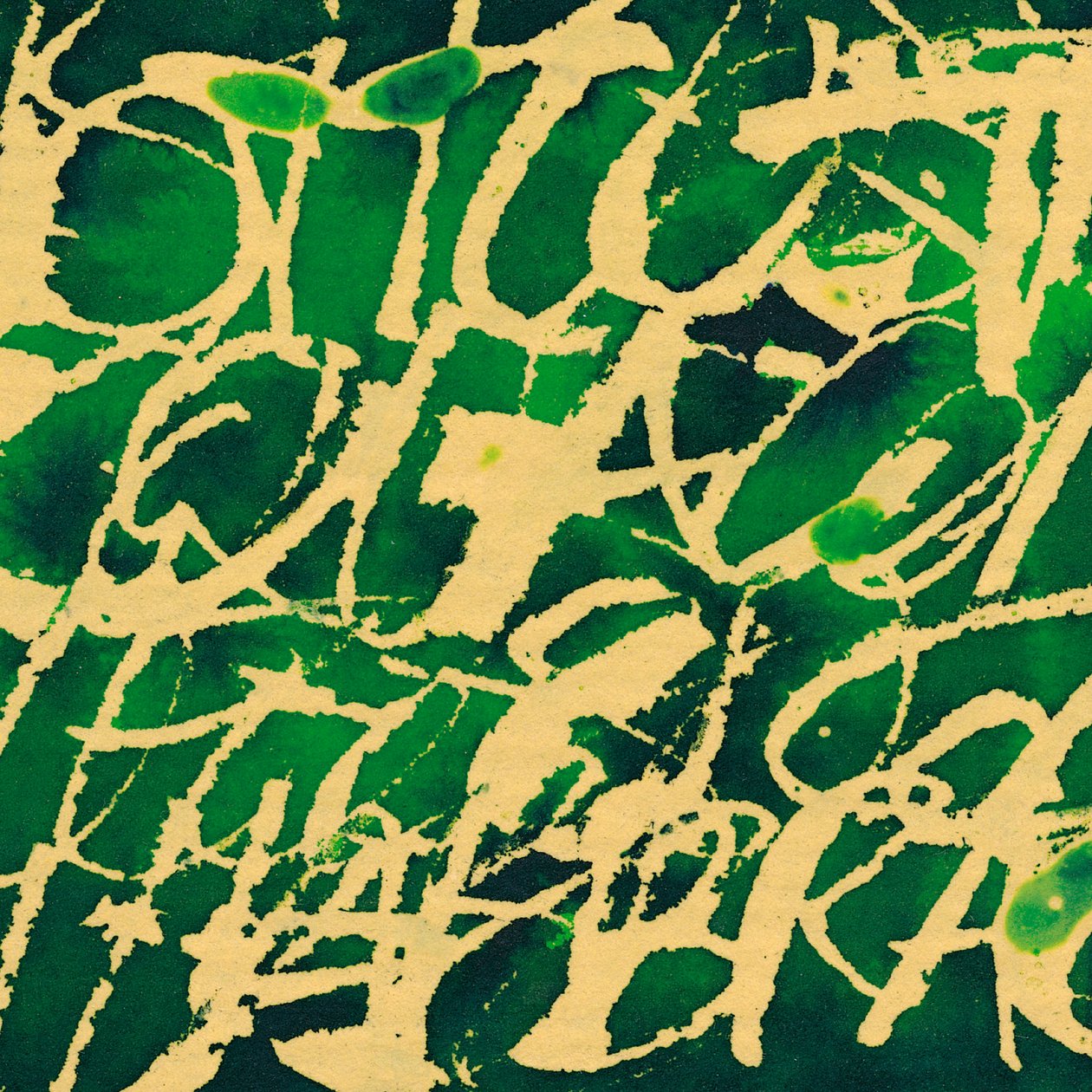Green Writing, 2002 by Marco Campedelli