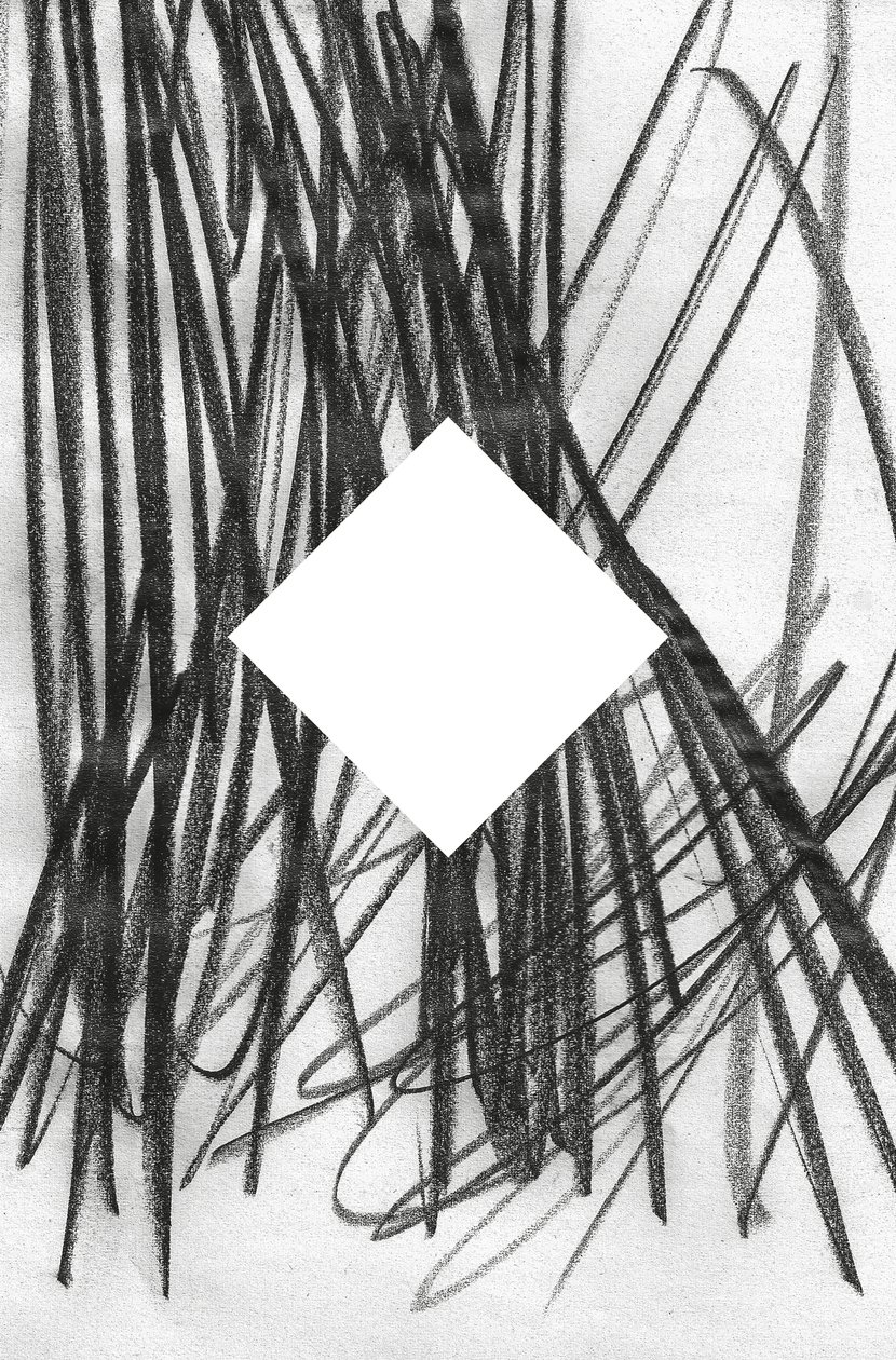 Untitled, 2014 by Marco Campedelli
