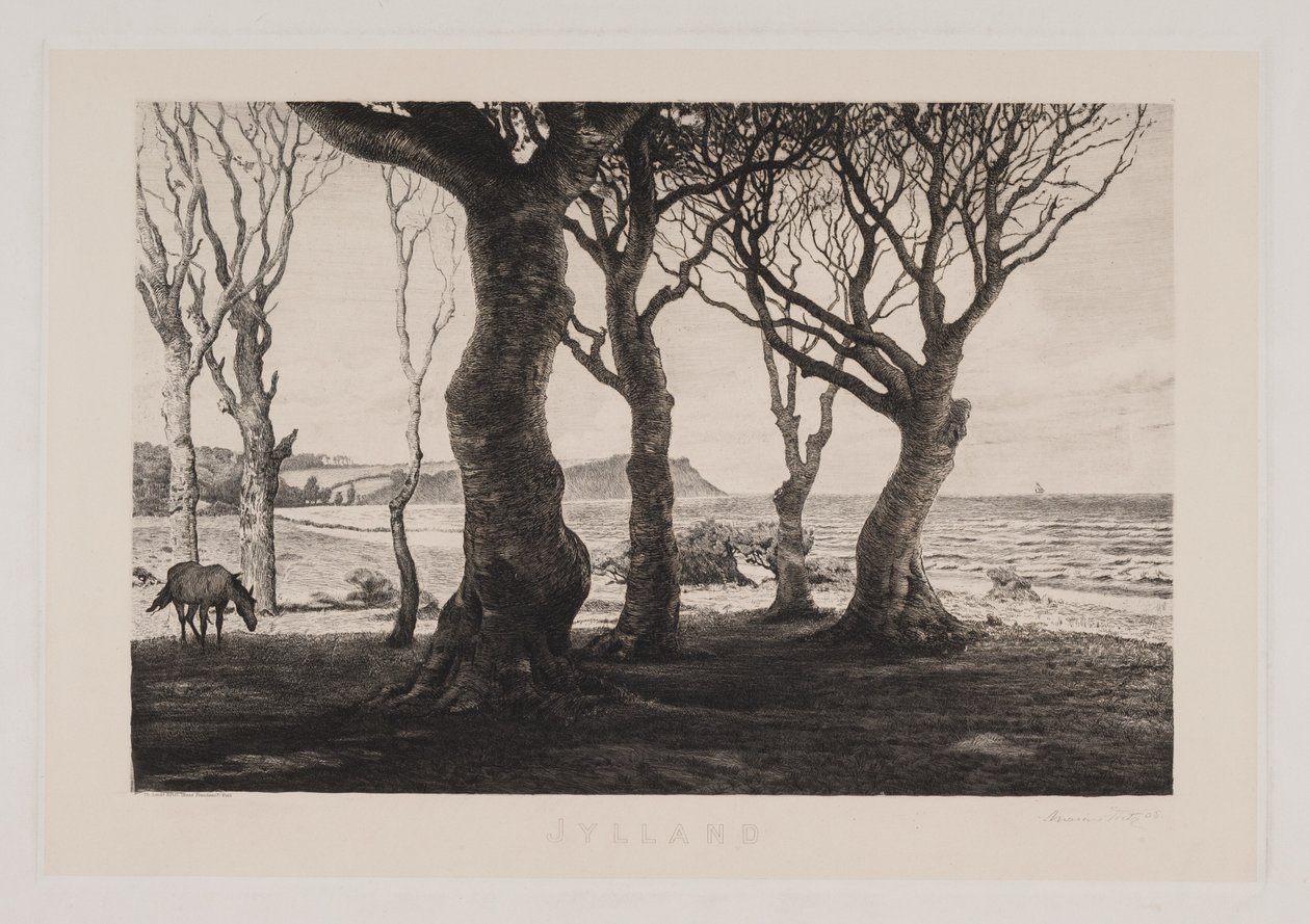 Jutland Landscape by Marcus Bech Fritz