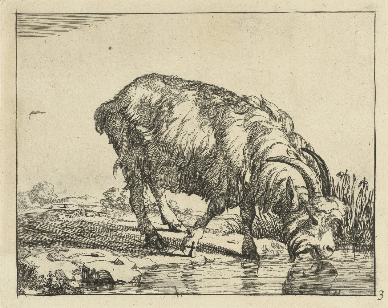 Drinking Goat Goats and Bucks (series title) by Marcus de Bye