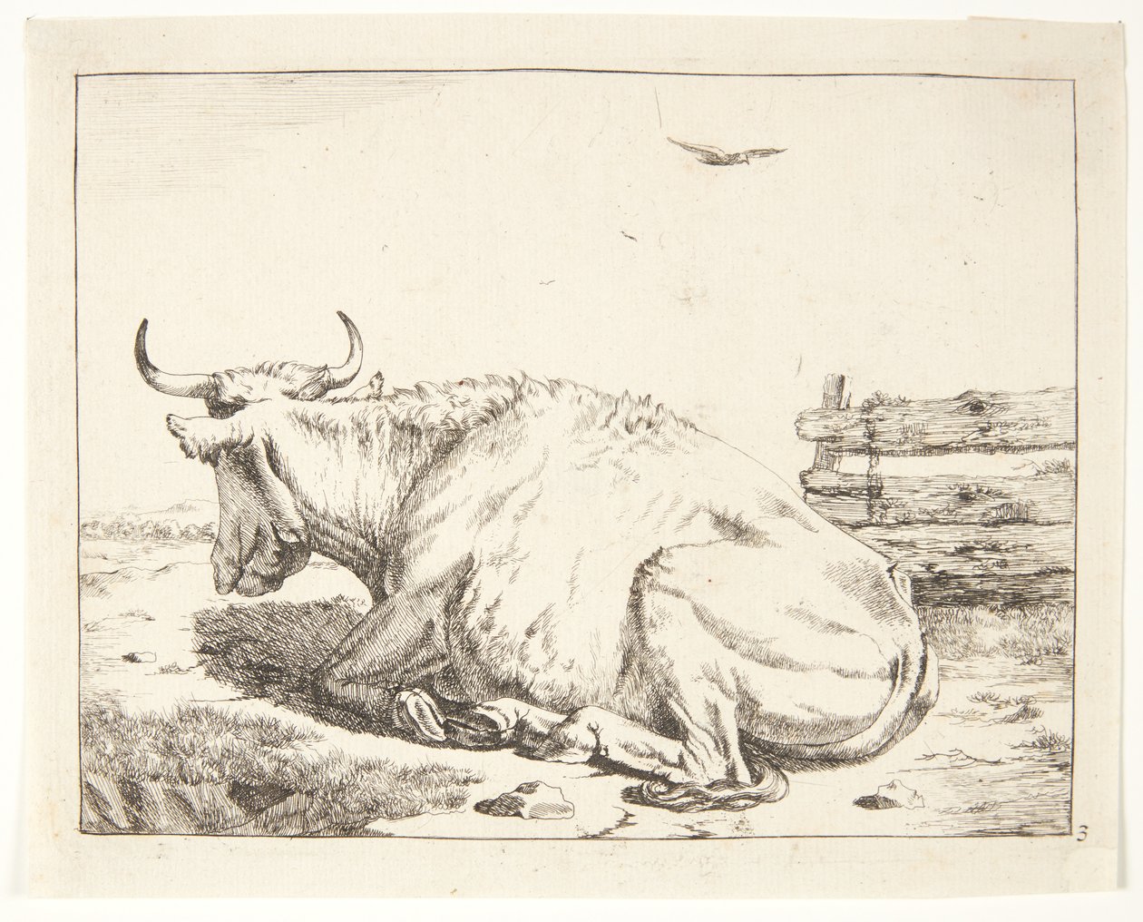 Lying Cow by Marcus de Bye