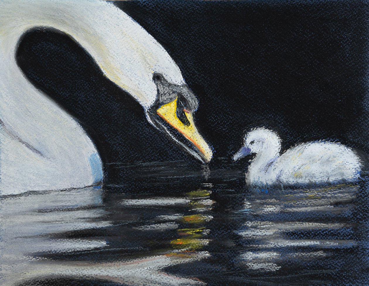 Follow Mummy. by Margo Starkey