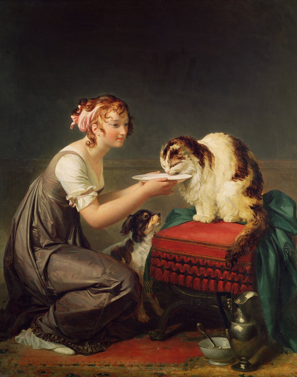 The Cat