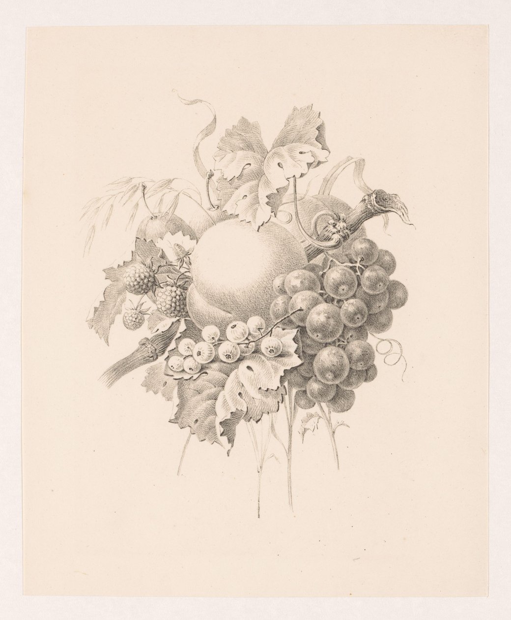 Composition of Fruits by Maria Geertruida de Goeje Barbiers (attributed to)