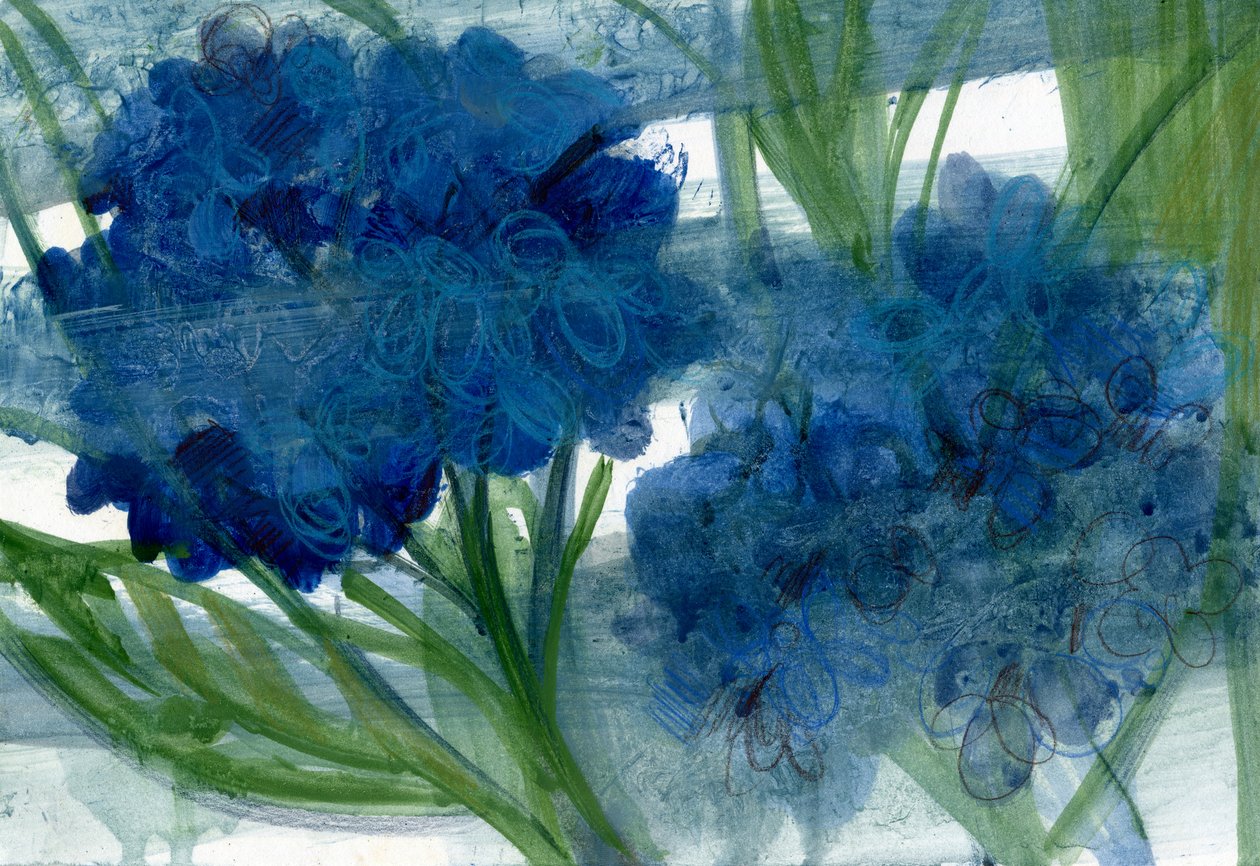 Blue Hydrangeas by Marina Falco