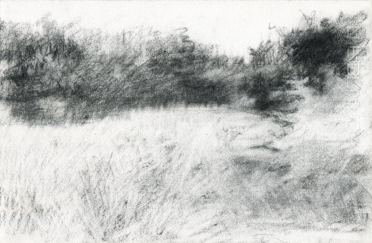 Landscape by Marina Falco
