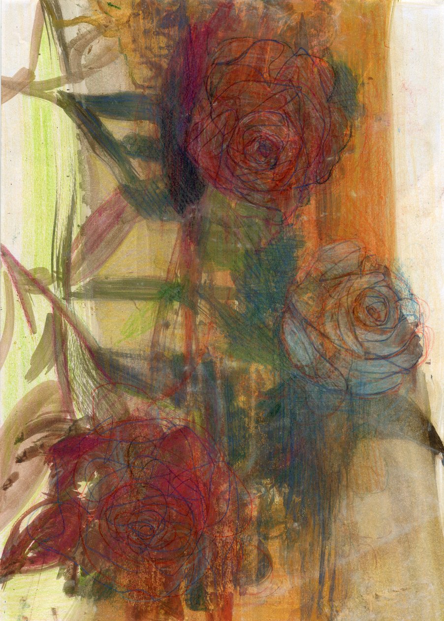 Roses by Marina Falco