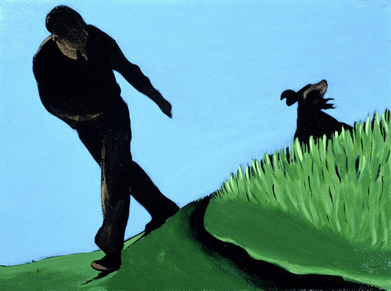 Whistling Him Back by Marjorie Weiss