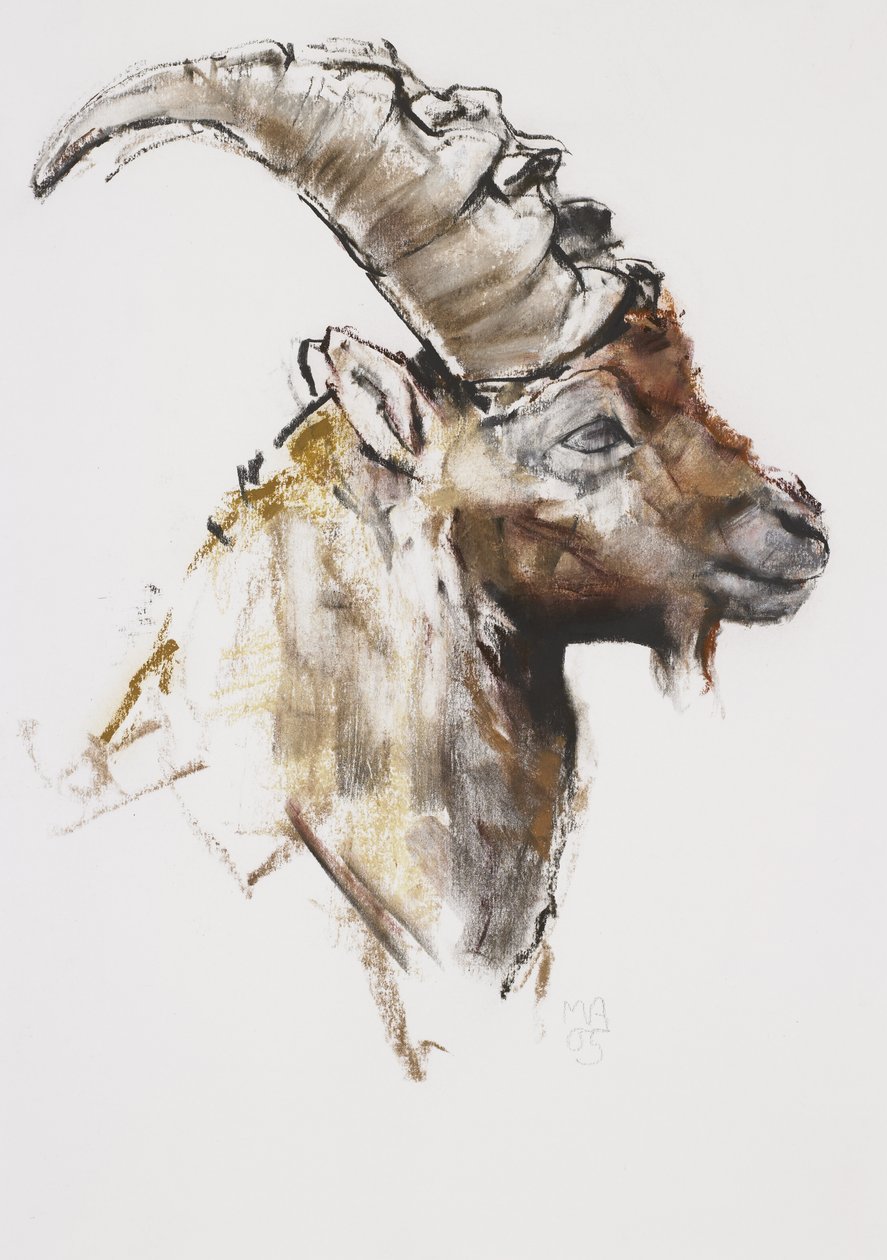 Giovanotto by Mark Adlington
