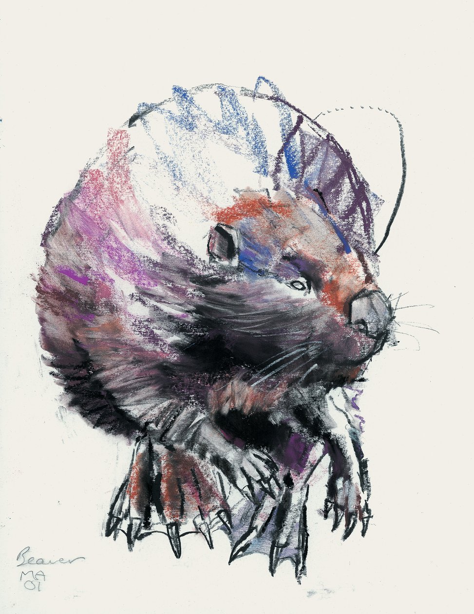 Beaver, 2001 by Mark Adlington