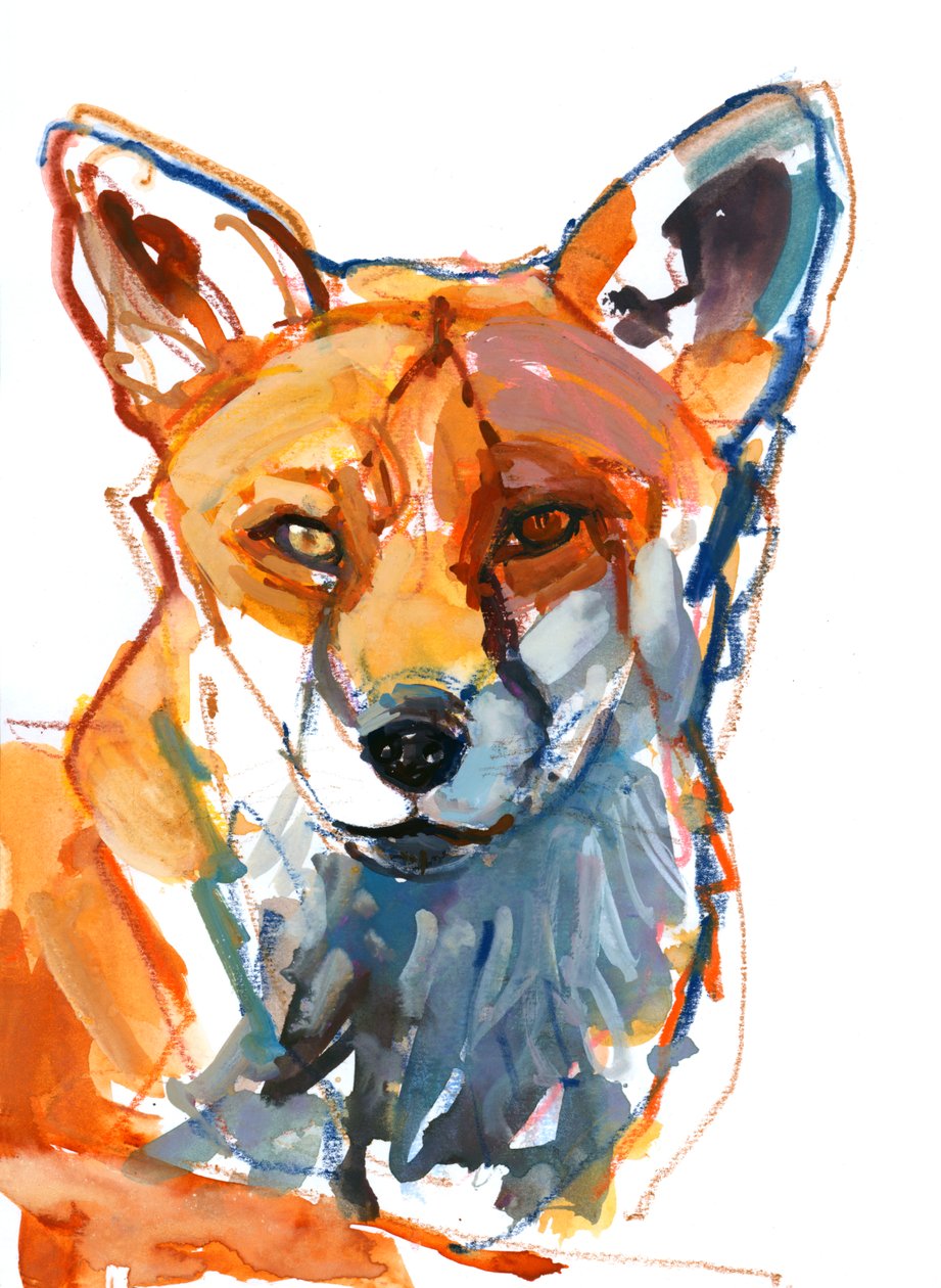 Dog Fox by Mark Adlington
