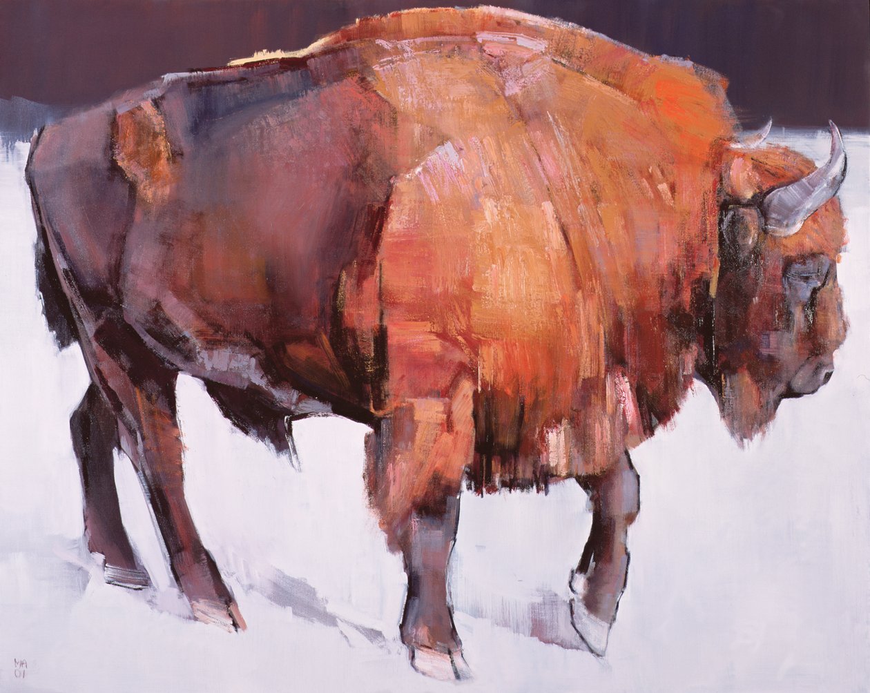 European Bison by Mark Adlington