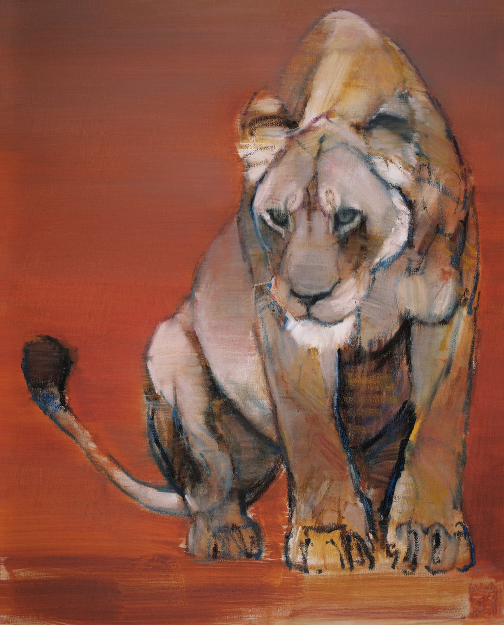 Focus by Mark Adlington