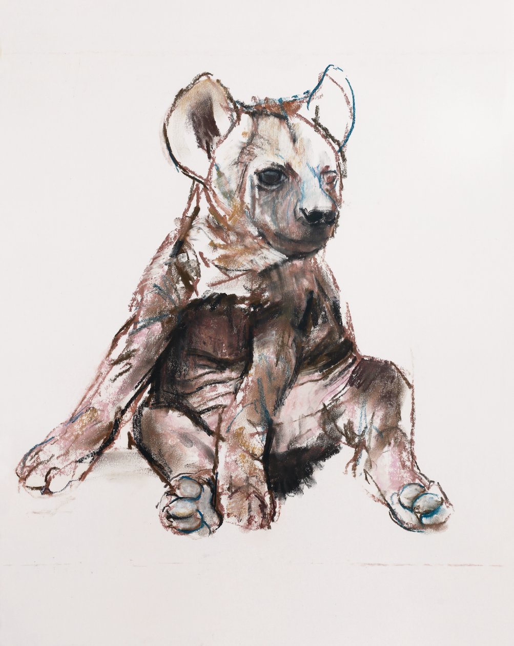 Hyaena Pup (sitting up) by Mark Adlington