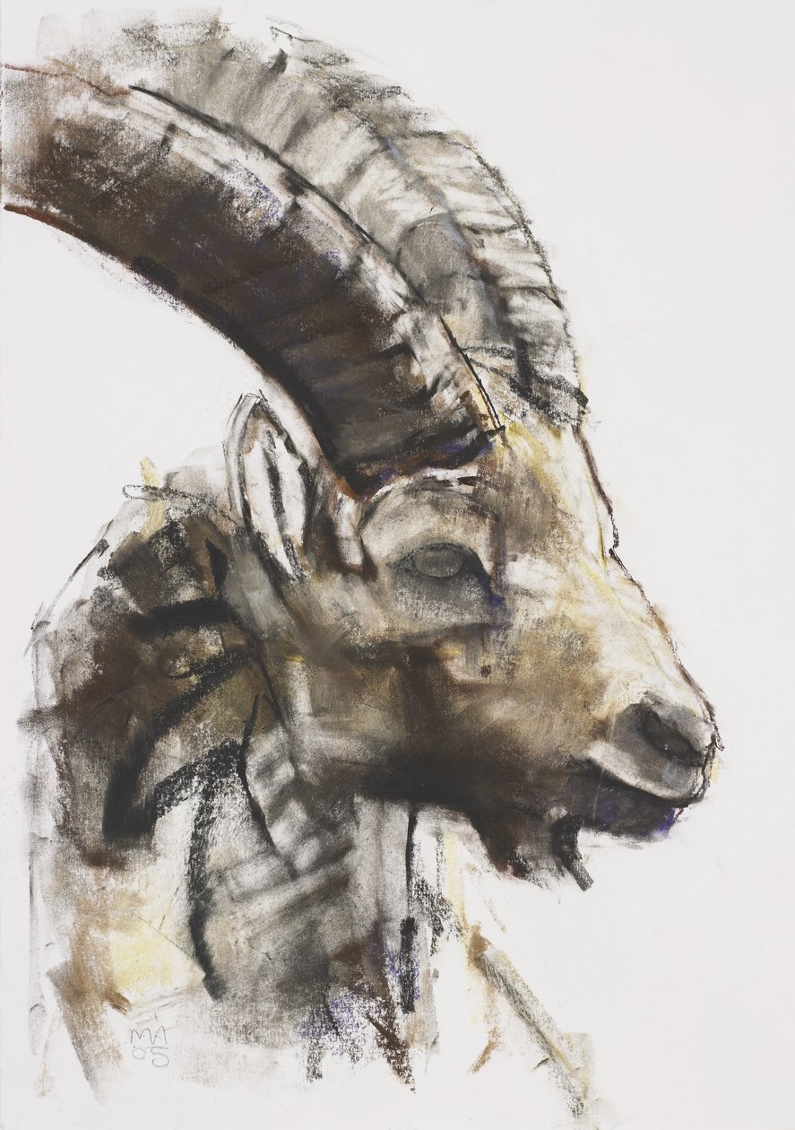 Testa, 2005 by Mark Adlington