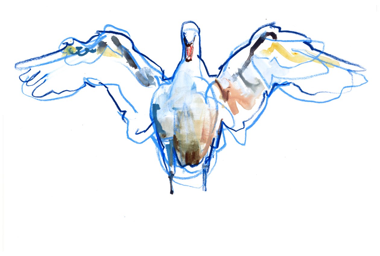 Wings Outstretched, 2022 by Mark Adlington