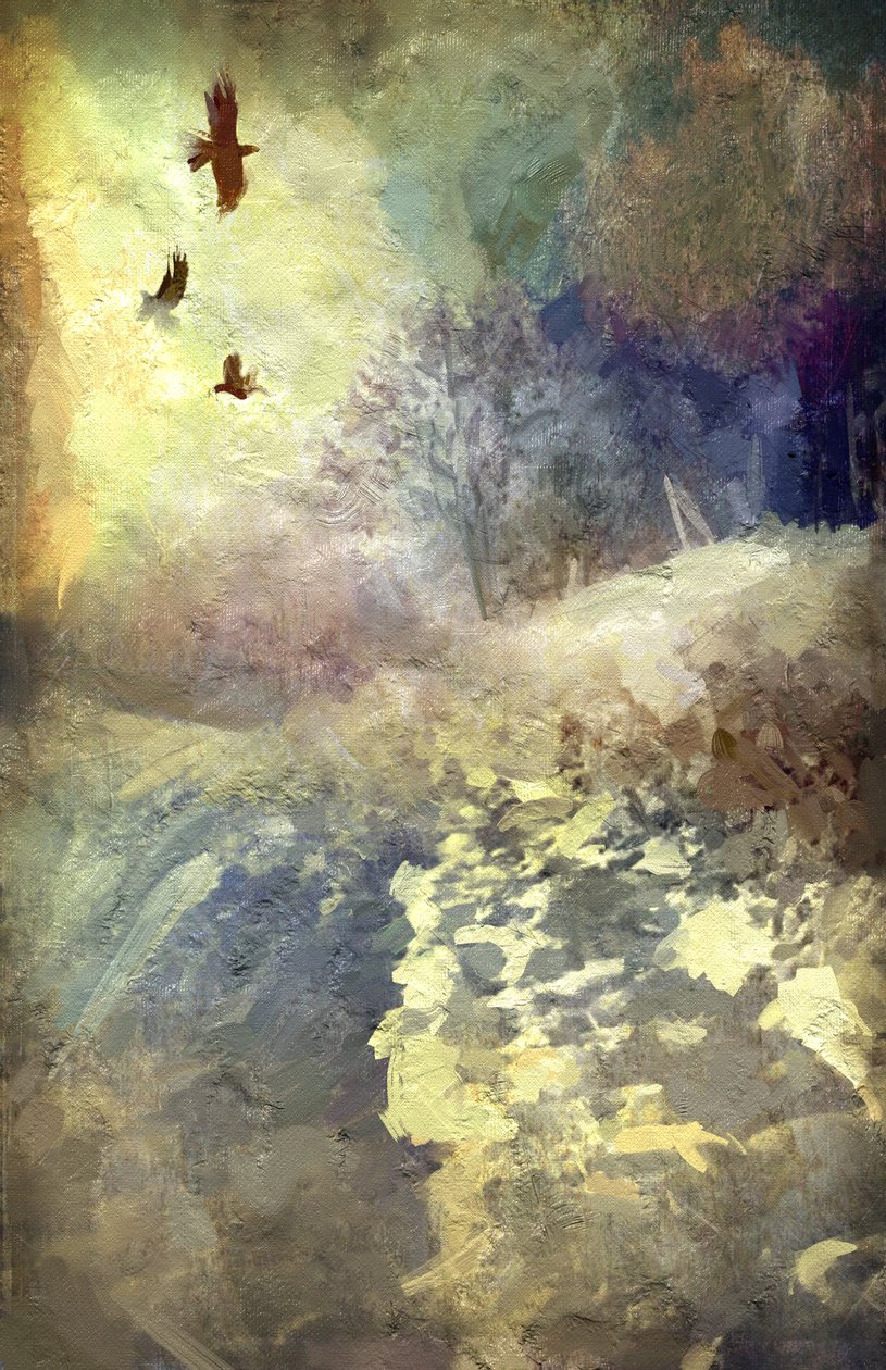 Winter Afternoon with Crows by Mark Gordon