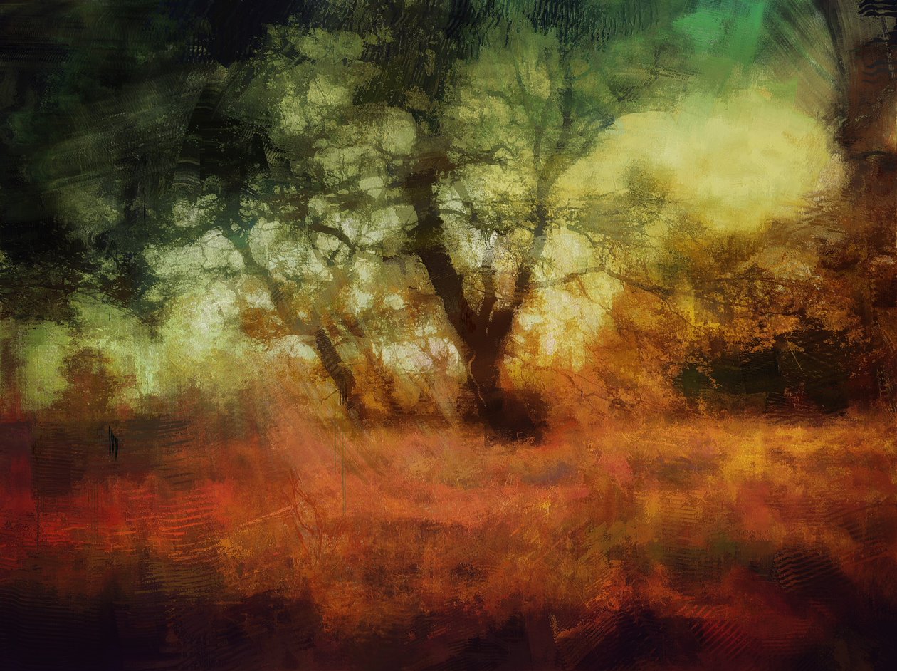 Woods at Calke Abbey by Mark Gordon