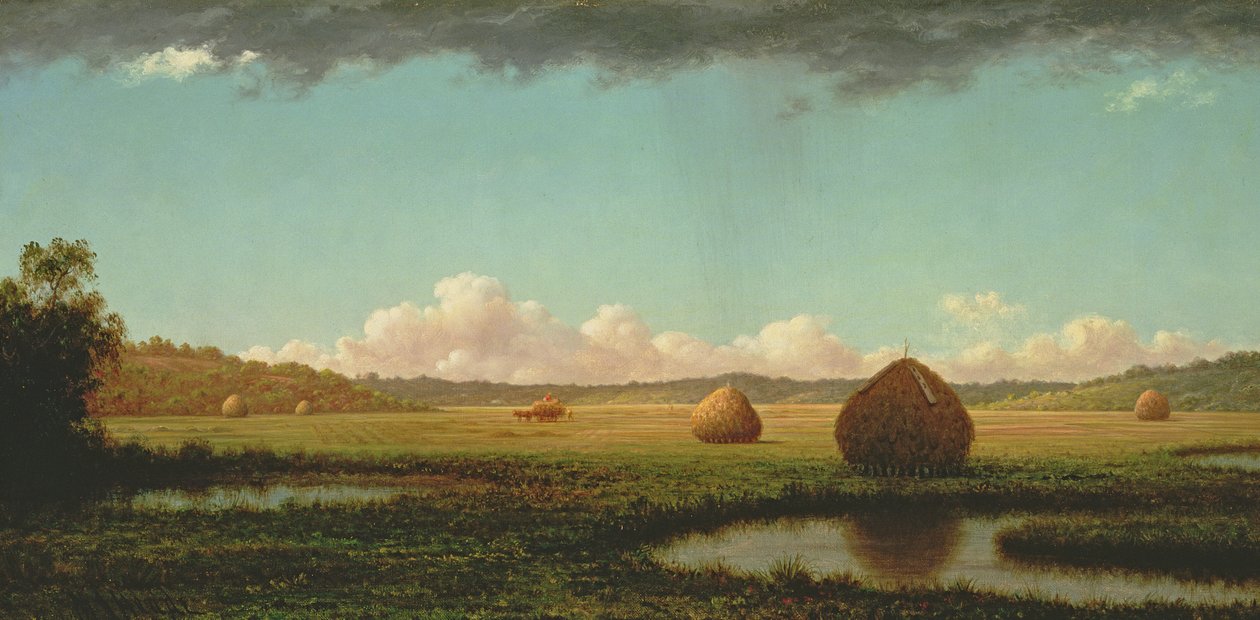 Summer Showers by Martin Johnson Heade