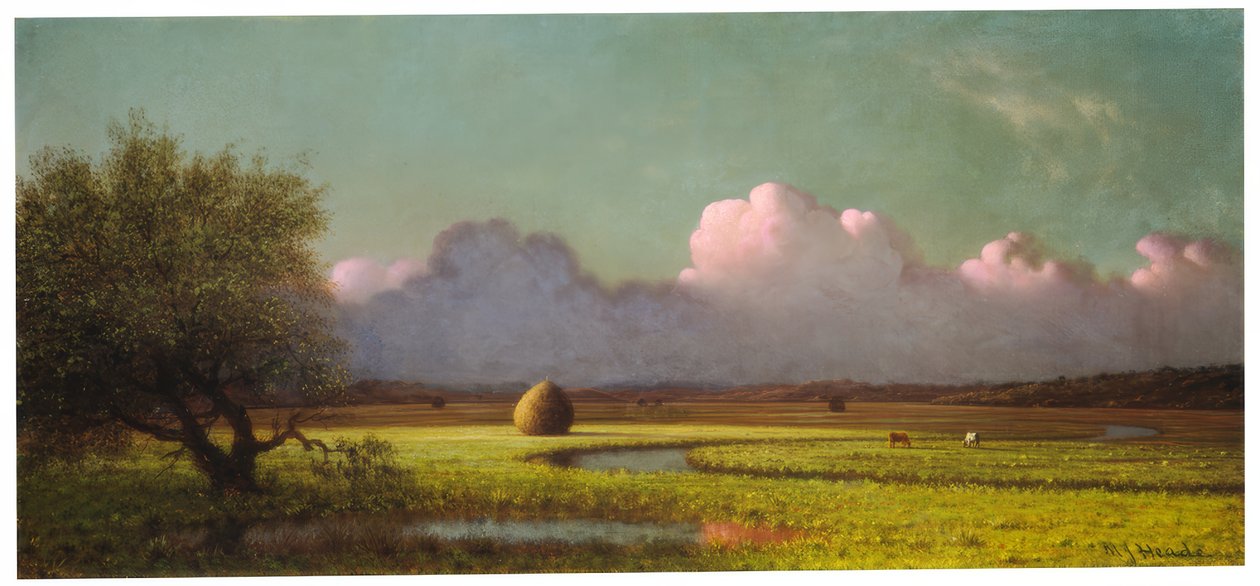 Sunlight and Shadow: The Newbury Marshes by Martin Johnson Heade