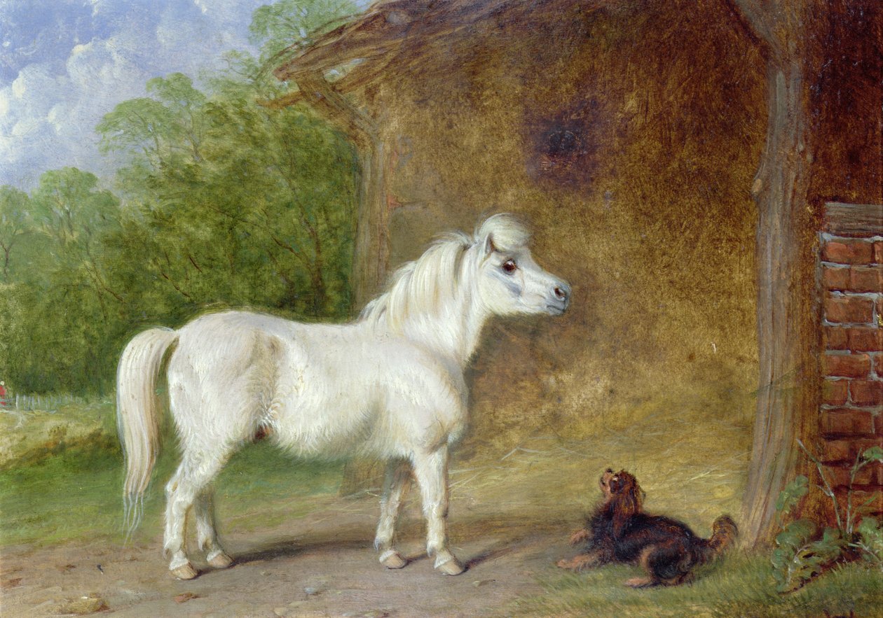 A Shetland pony and a King Charles spaniel by Martin Theodore Ward