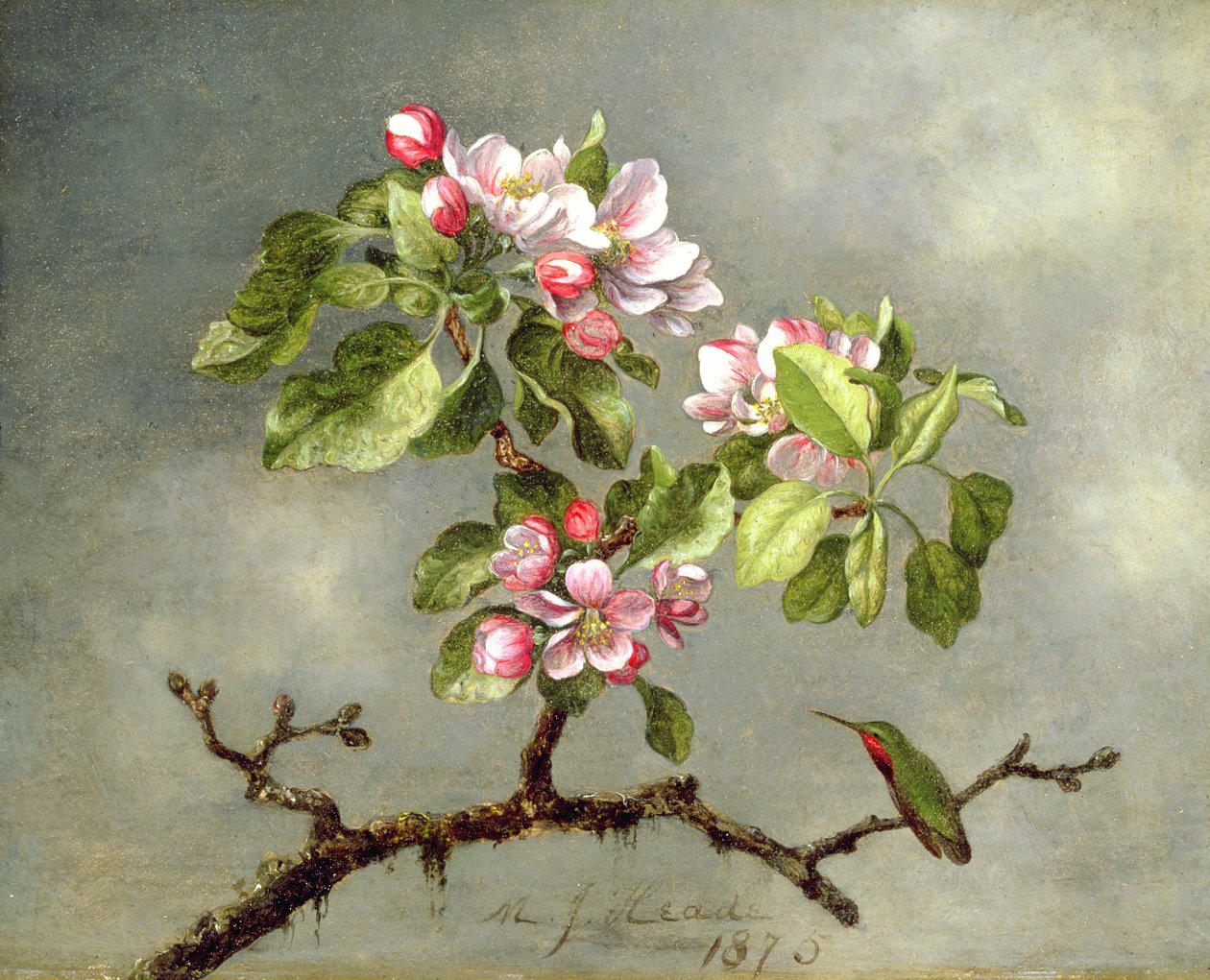 Apple Blossoms and a Hummingbird by Martin Johnson Heade