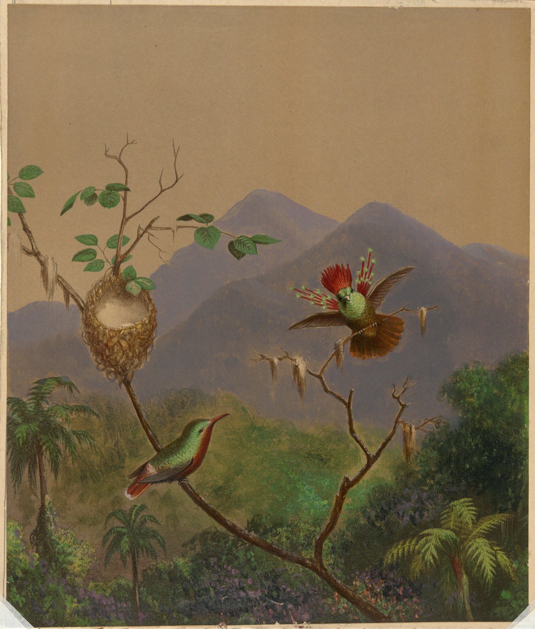 Brazilian Hummingbirds III by Martin Johnson Heade