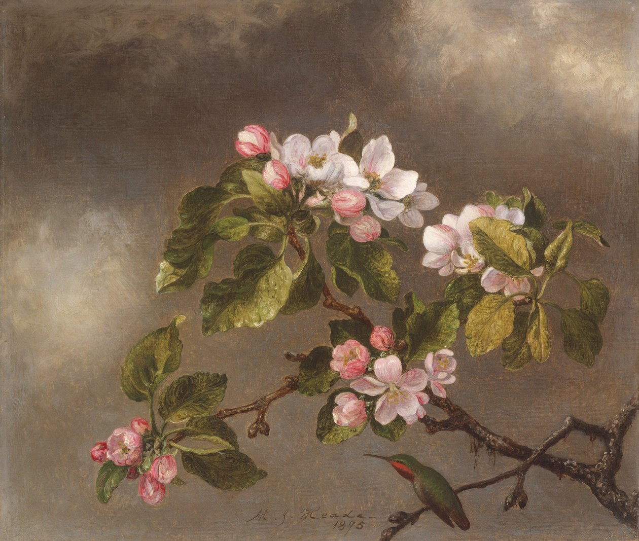 Hummingbird and Apple Blossoms, 1875 by Martin Johnson Heade