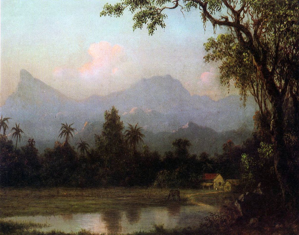 Rio de Janeiro, Brazil, c.1865 by Martin Johnson Heade