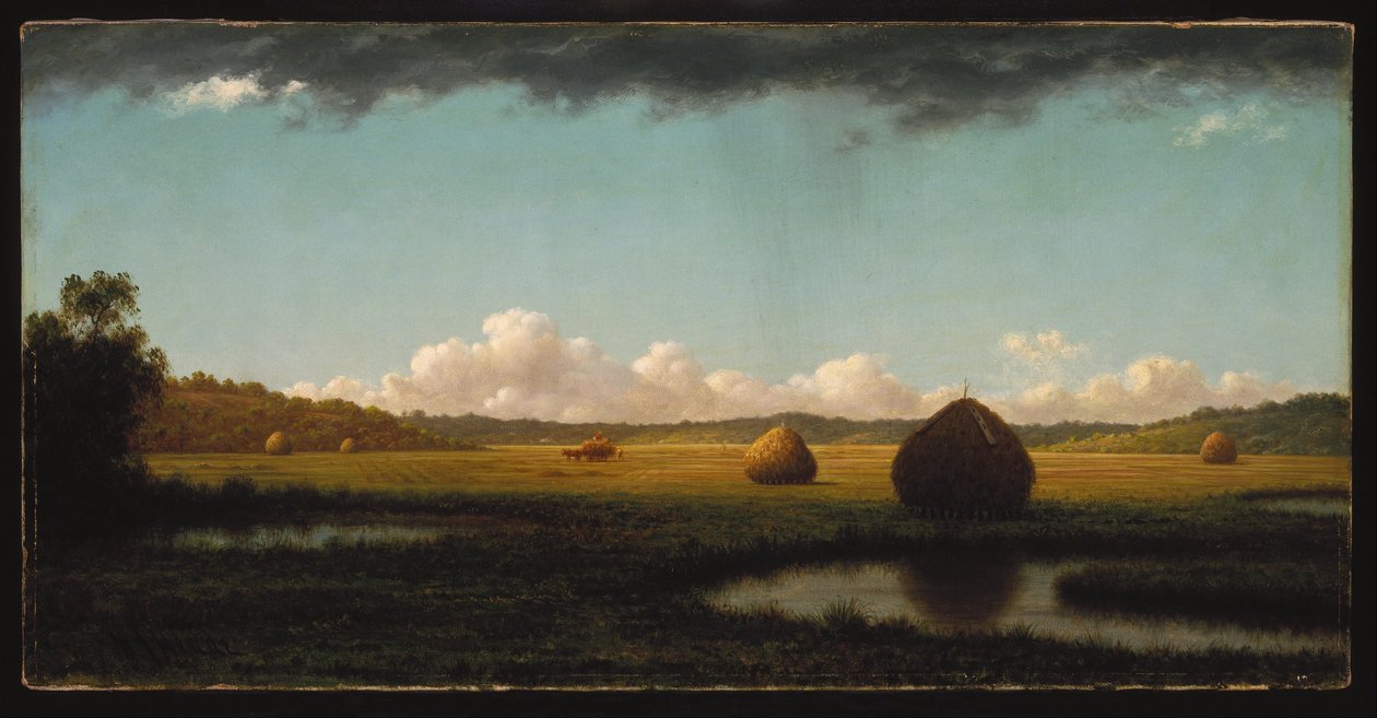 Summer Showers by Martin Johnson Heade