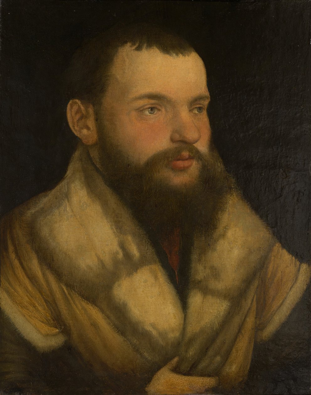 Portrait of a Man, 1520-30 by Martin Schaffner