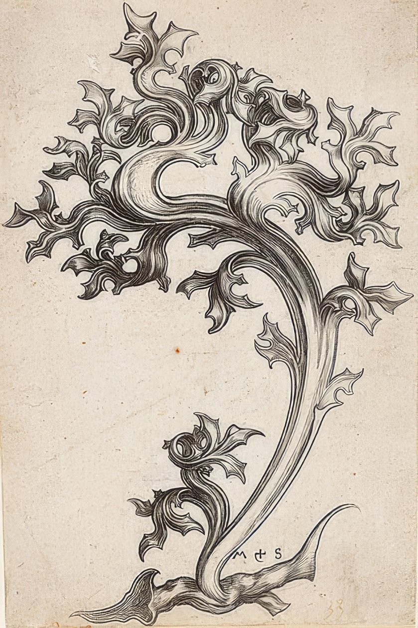 Leaf Ornament from a Thistle by Martin Schongauer