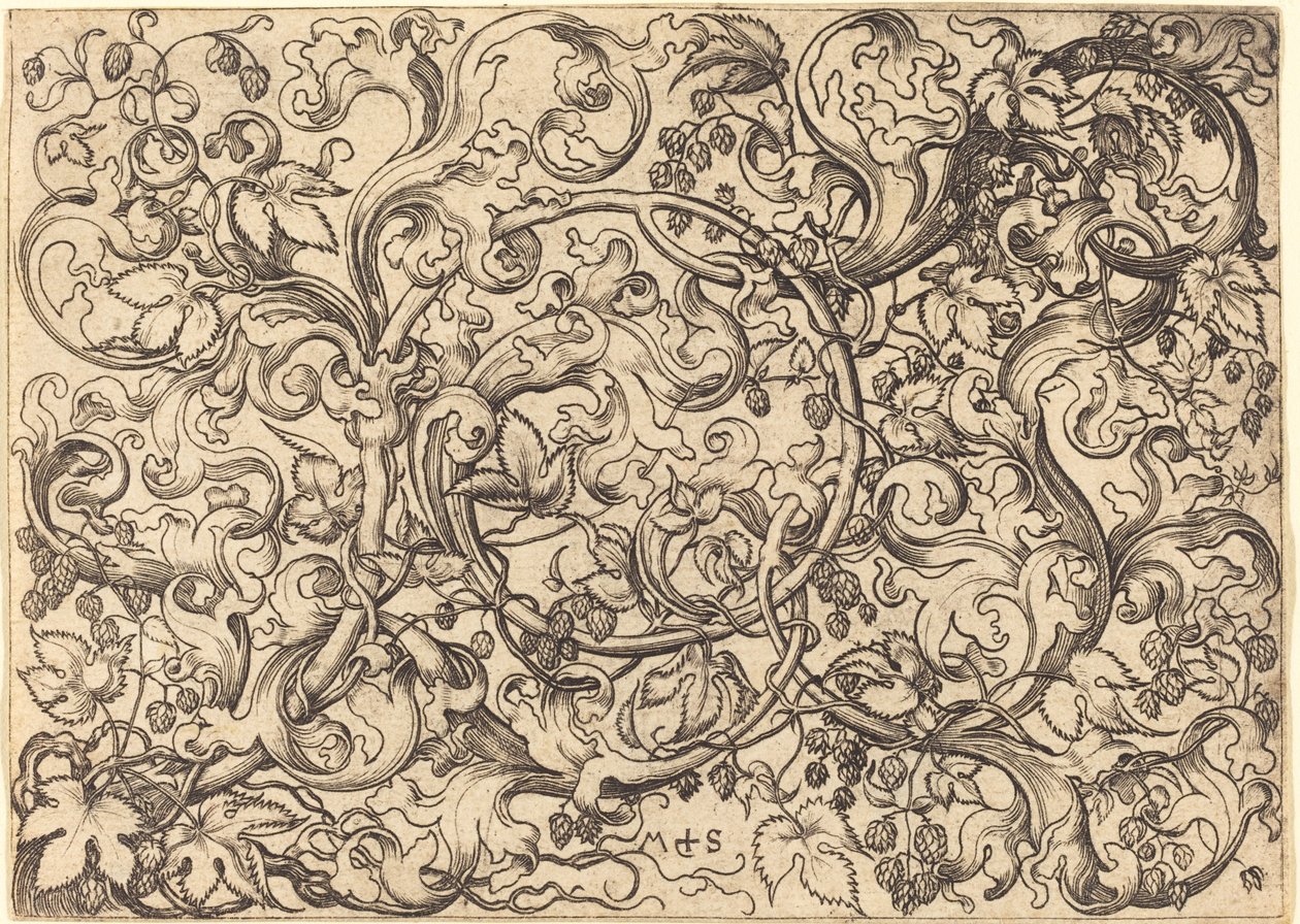 Ornament with Hop Vine by Martin Schongauer