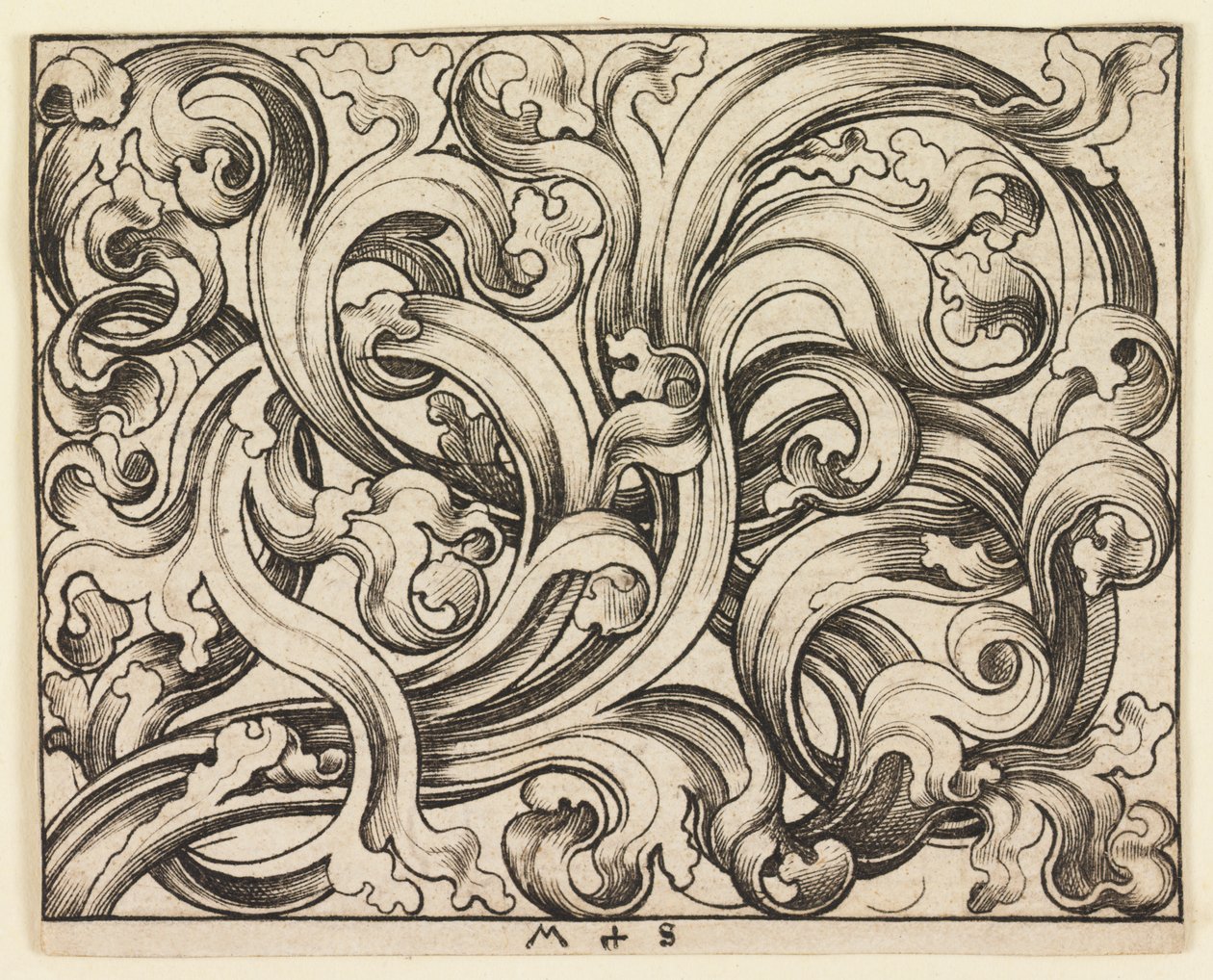 Horizontal Ornament on Light Background by Martin Schongauer