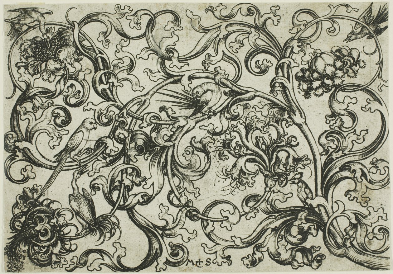 Vine Ornament with Parrots and Birds by Martin Schongauer
