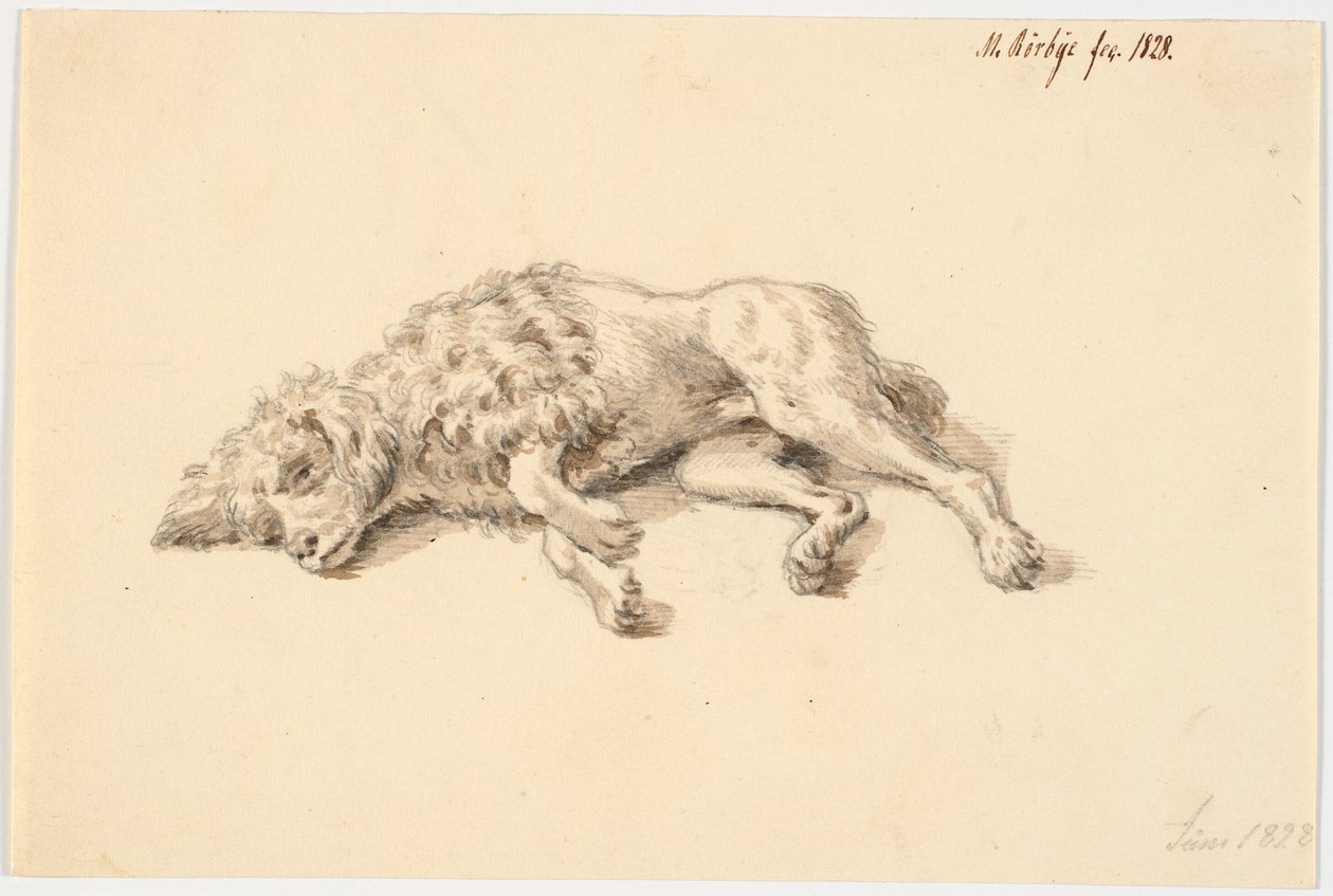 Lying Poodle by Martinus Rørbye